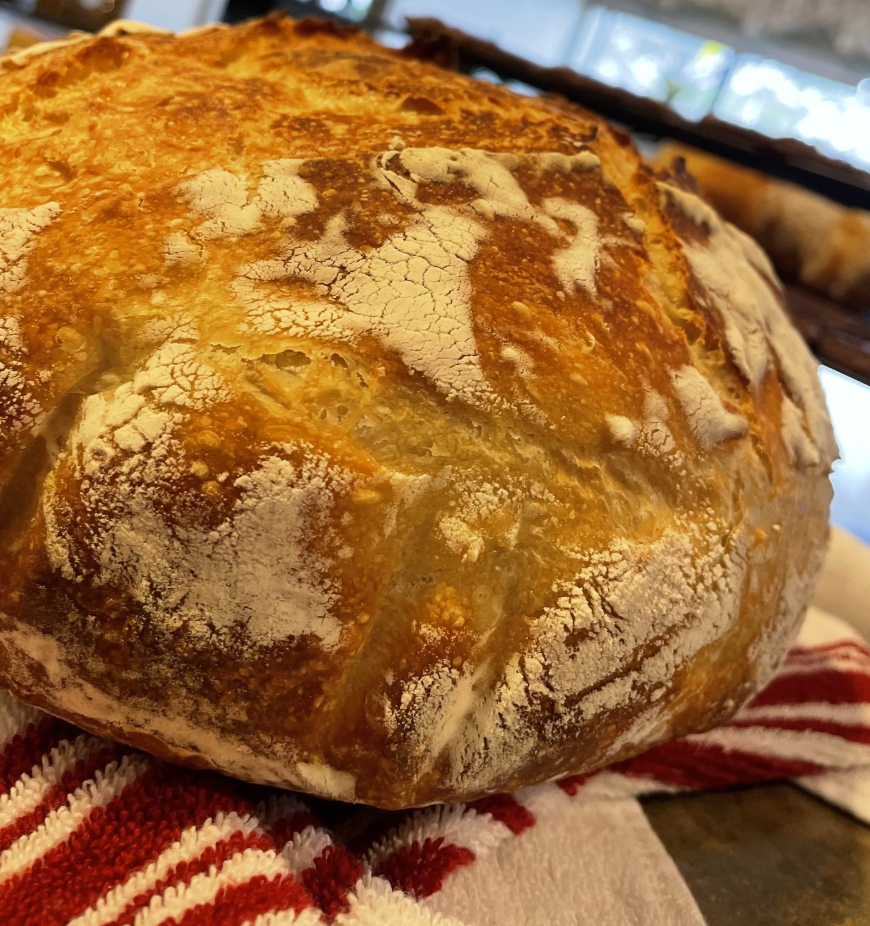 Sourdough Bread Journey